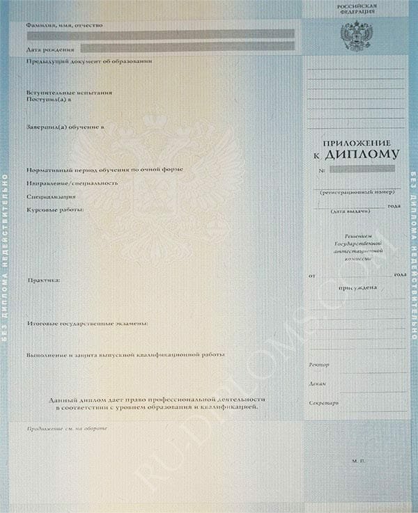 Диплом бакалавра 2010-2013 год  