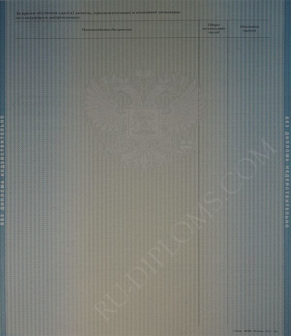 Диплом бакалавра 2010-2013 год  